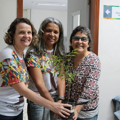 Dia Da Arvore Fasa 2018 12