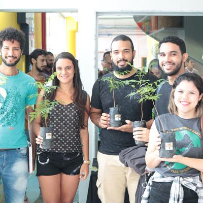 Dia Da Arvore Fasa 2018 15