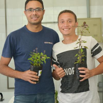 Dia da Árvore 2017
